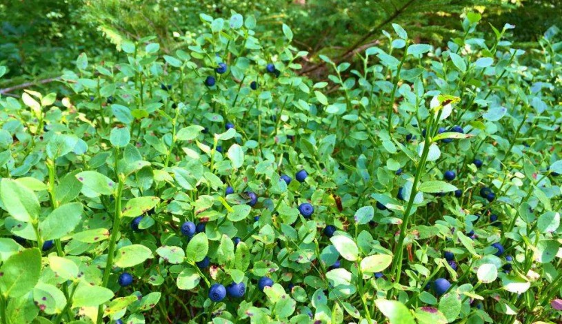 Apart Hotel Jablonec Jablonec nad Nisou